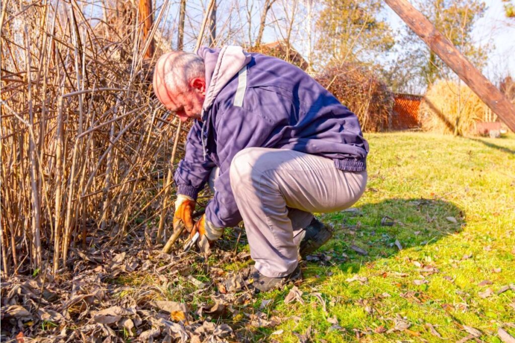 Homeowner Says a Neighbor Entered Her Garden to “Clean Up,” Then Destroyed Mature Plants That Had Been Growing There for Years - AOL