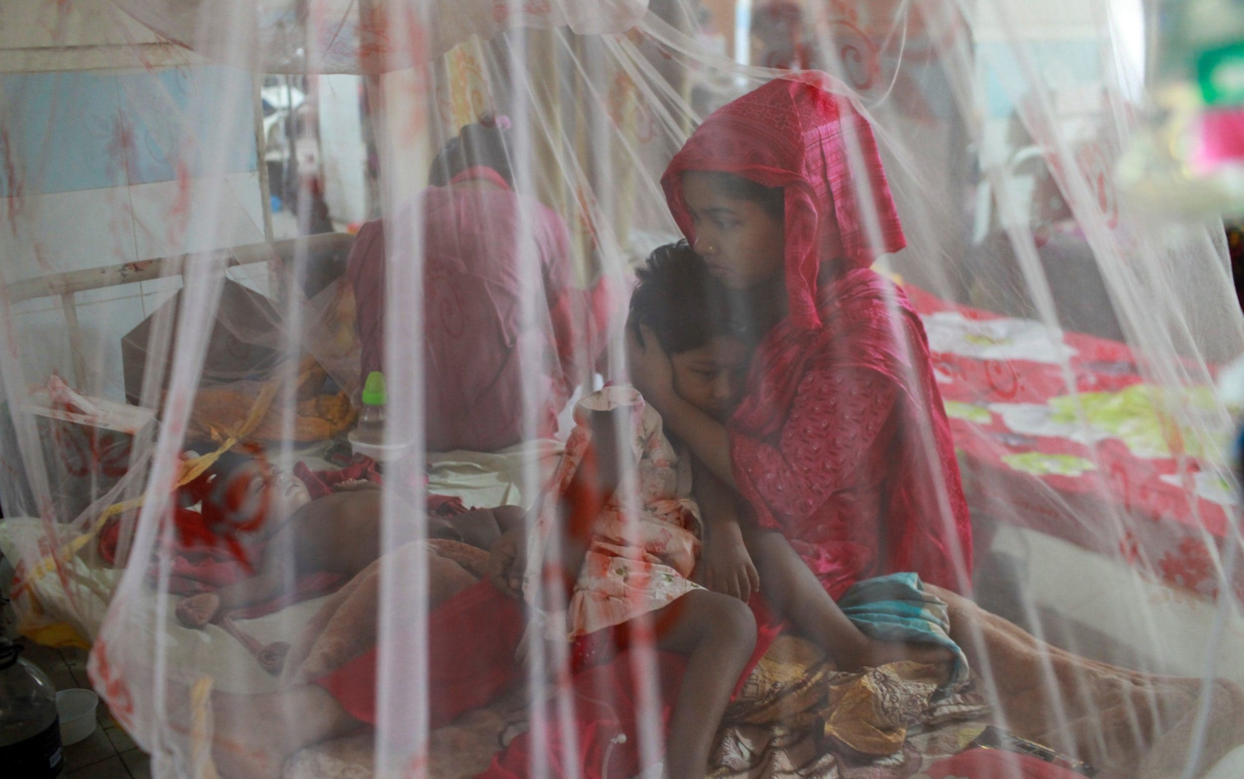 Asia on high alert as El Niño threatens new Dengue epidemic