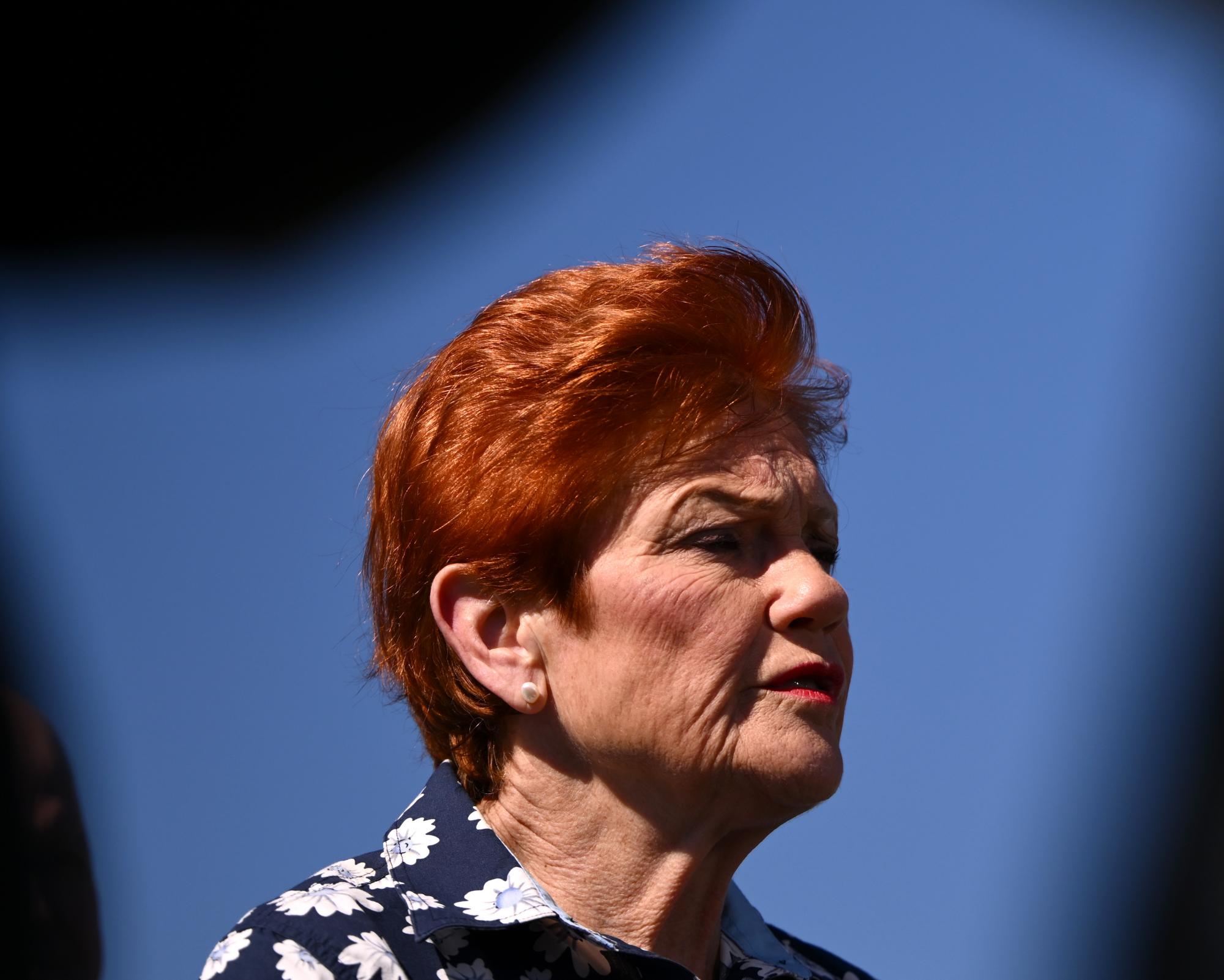 Pauline Hanson's immigration cuts will cost ‘many billions of dollars' to implement, former top official says