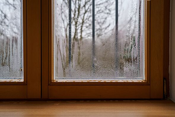 Window condensation will be gone if you use 1 unexpected household item