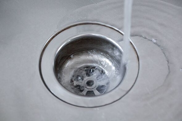 Kitchen drains will be deep cleaned if you put 1 natural item in sink
