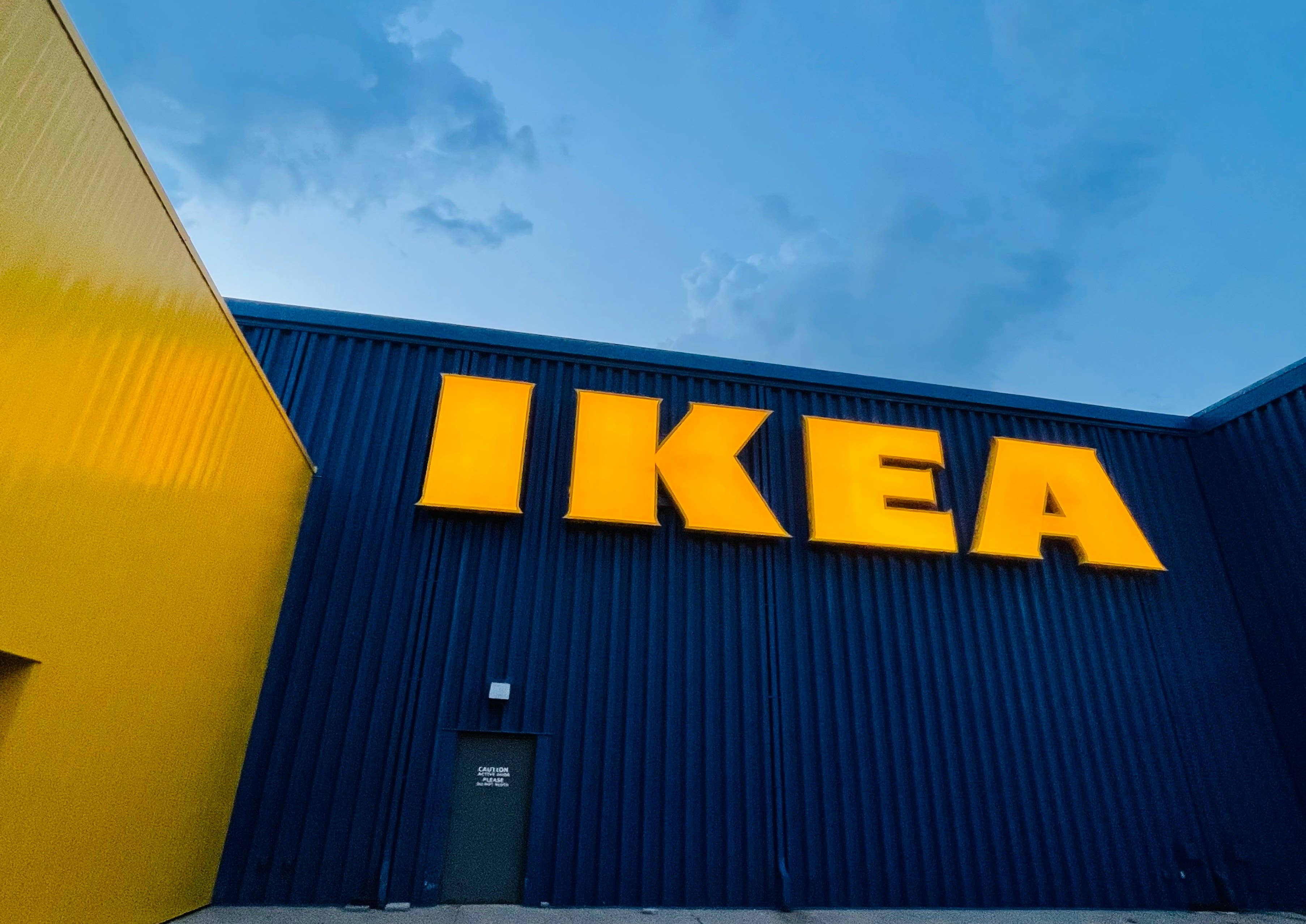 Why Cat Parents Are Obsessed With This $18 IKEA Seagrass Basket
