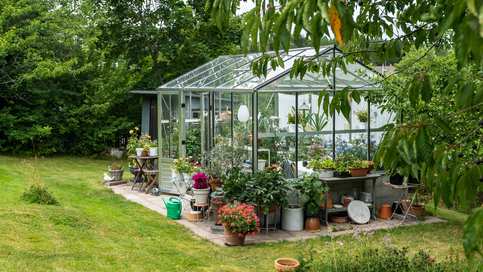 The Baking Essential That Will Leave Your Glass Greenhouse Windows Sparkling Clean