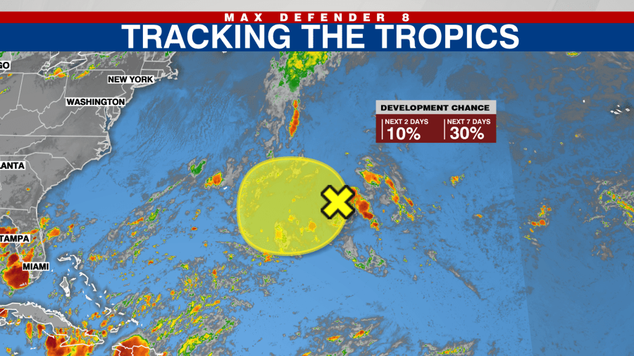 ニュートラル NEUTRAL Travel　for　life no.8 地図付 Development is possible for system in Atlantic: NHC - AOL