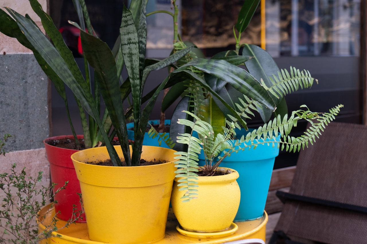 Interior Designers Agree: Get Rid of These 6 Things for a More Timeless ...