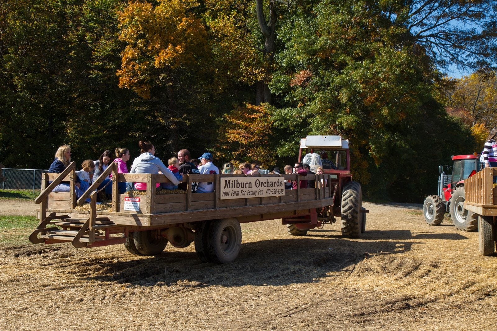 Your 2026 guide to apple and pumpkin picking in and around Delaware - AOL
