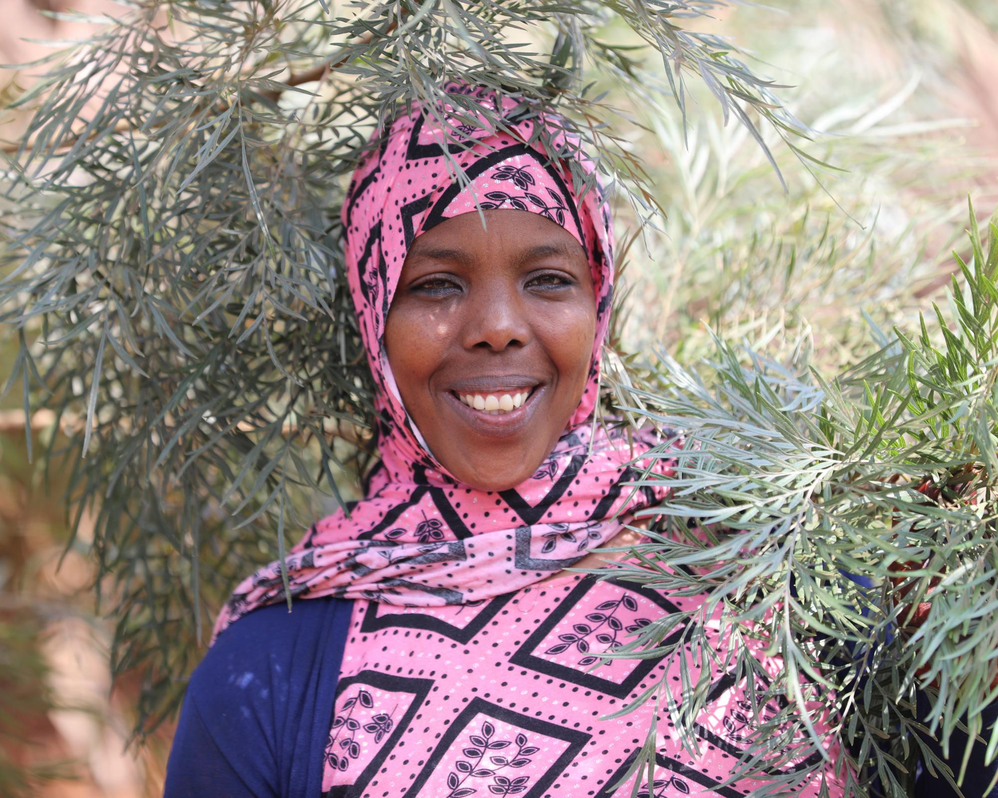 ‘I see them like my own children': reforesting Ethiopia with 50bn trees, one step at a time