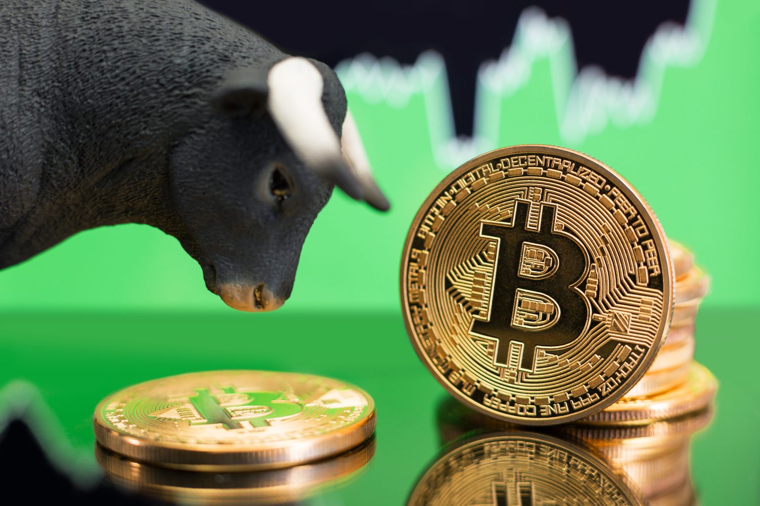 A dark, textured bull figurine with white horns is positioned on the left, looking towards the right. On the right, several gold Bitcoin coins are stacked, with one standing upright in the foreground, prominently displaying its 'B' logo and intricate circuit board design. The foreground has a reflective surface. In the blurred background, a green financial chart shows a distinct upward trend.