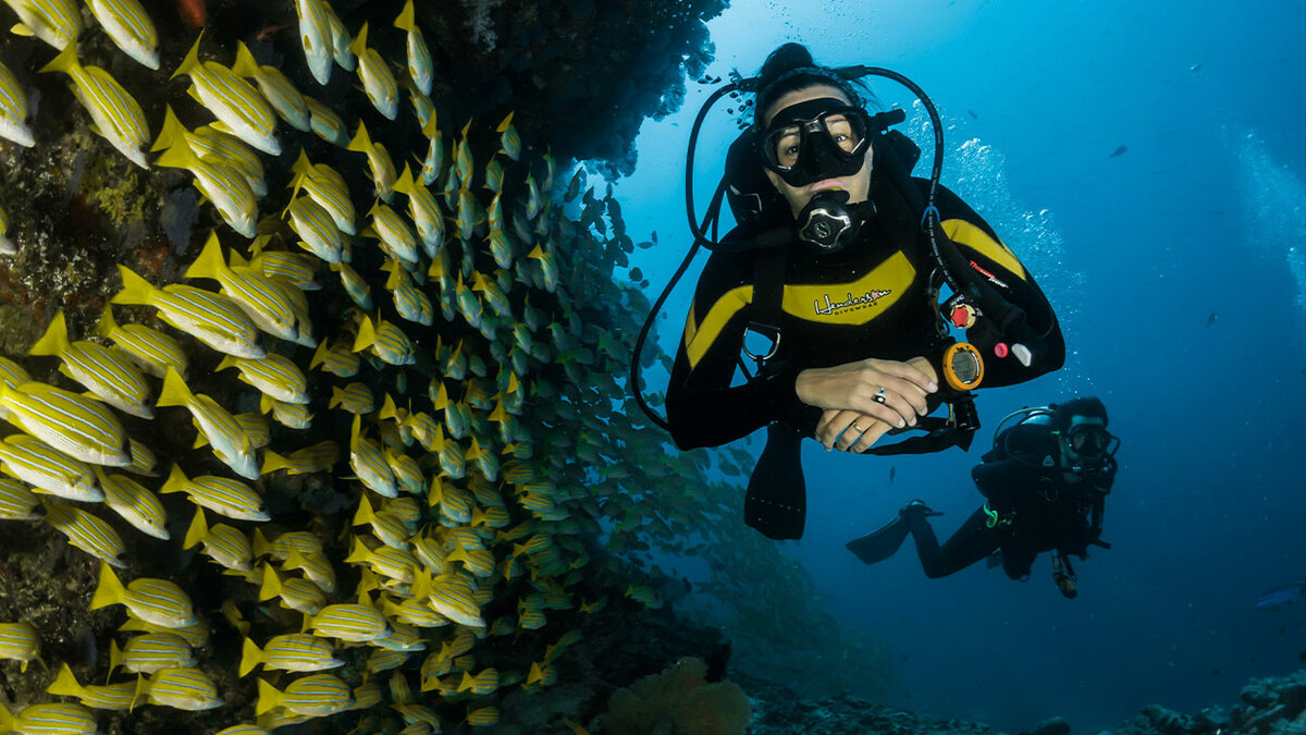 Diver Visits Bizarre Area That’s Blacked-Out Shape On Google Maps ...