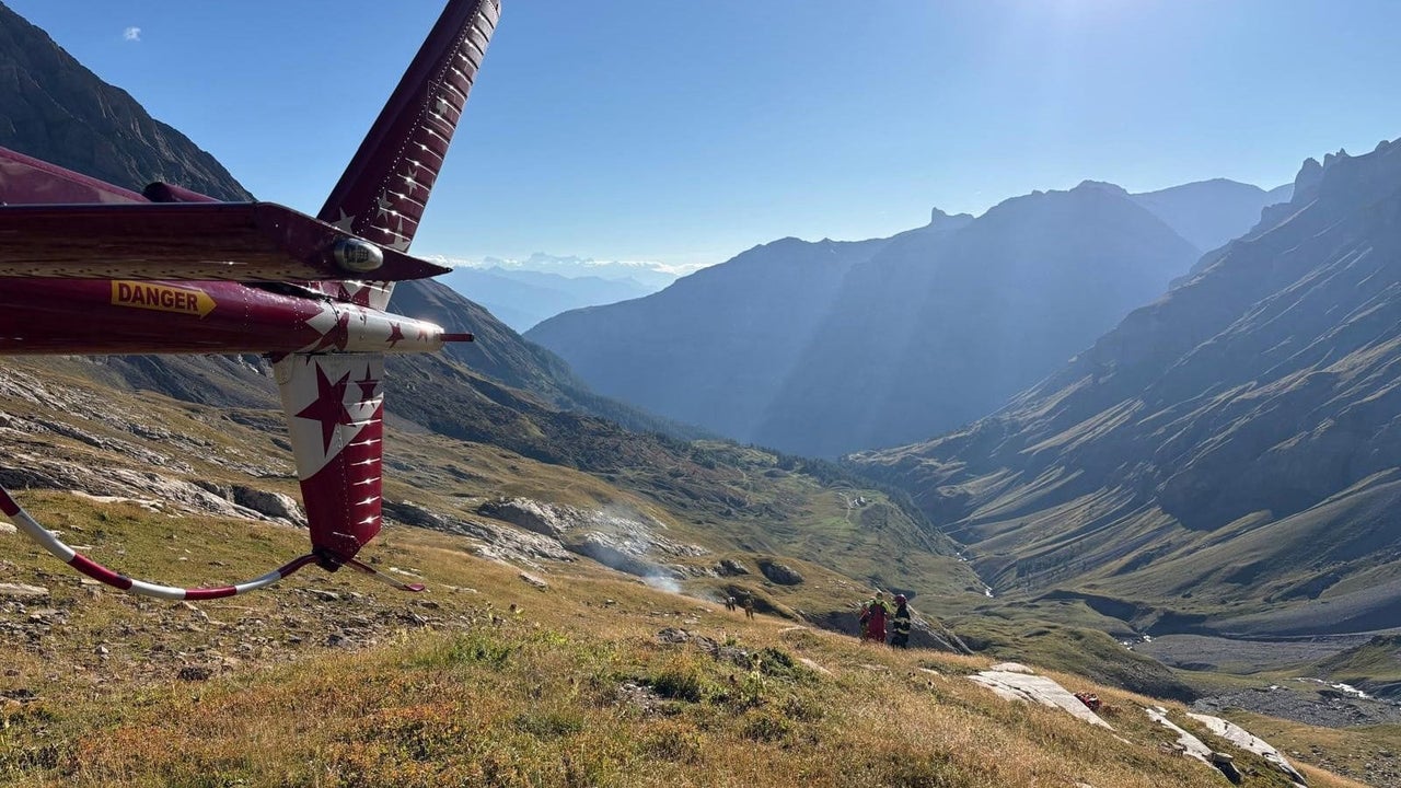 New Photo - Millionaire businessman among Britons killed in Swiss Alps plane crash