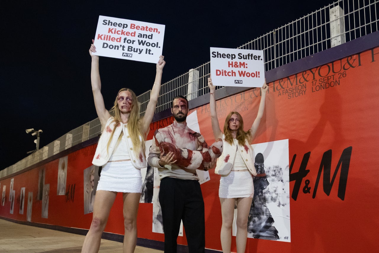 After the ban on real fur, should the fashion industry ban wool next? - AOL