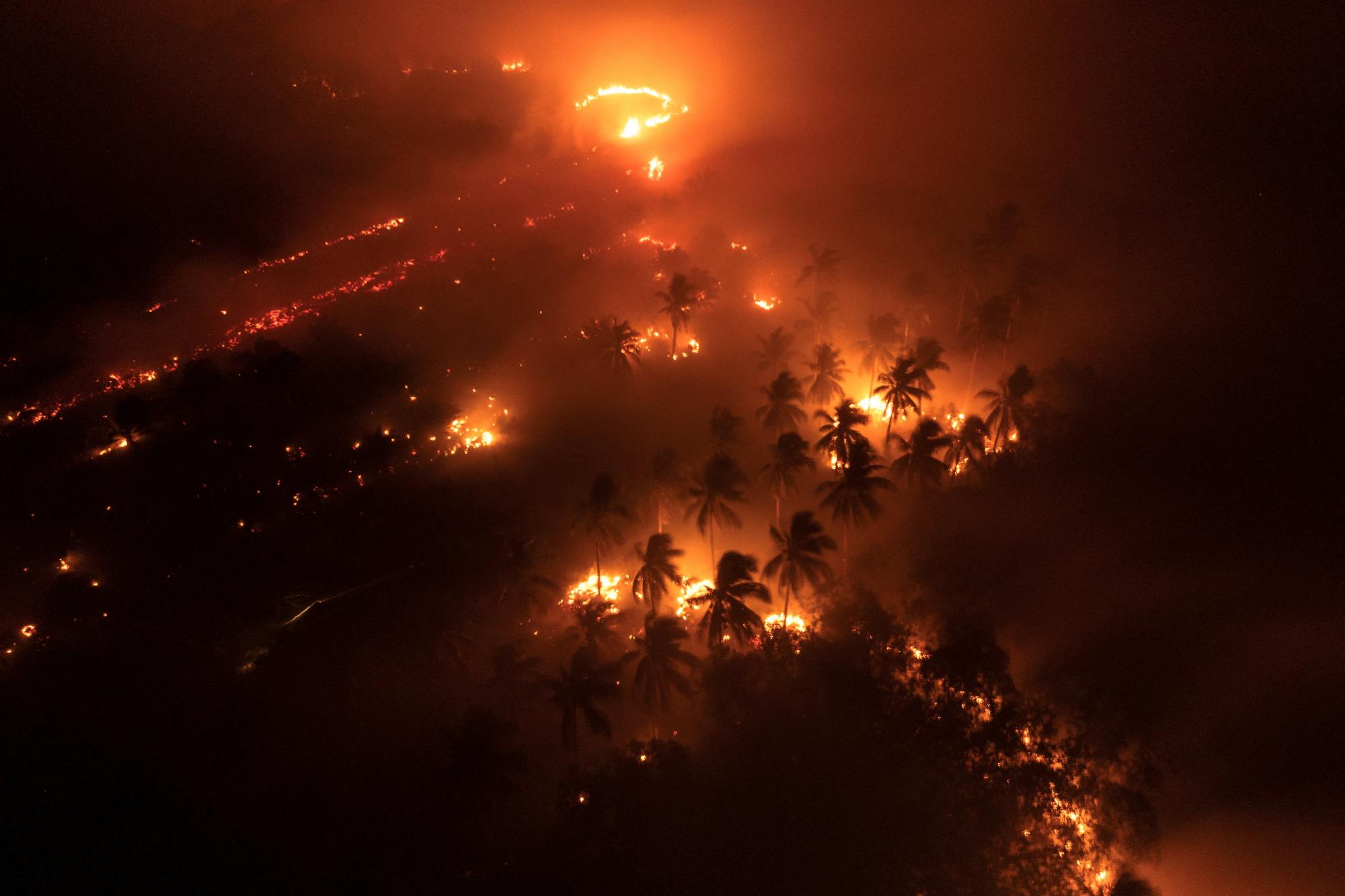 ?The physical toll is visceral’: How Indonesia’s fire haze affects millions - visual guide