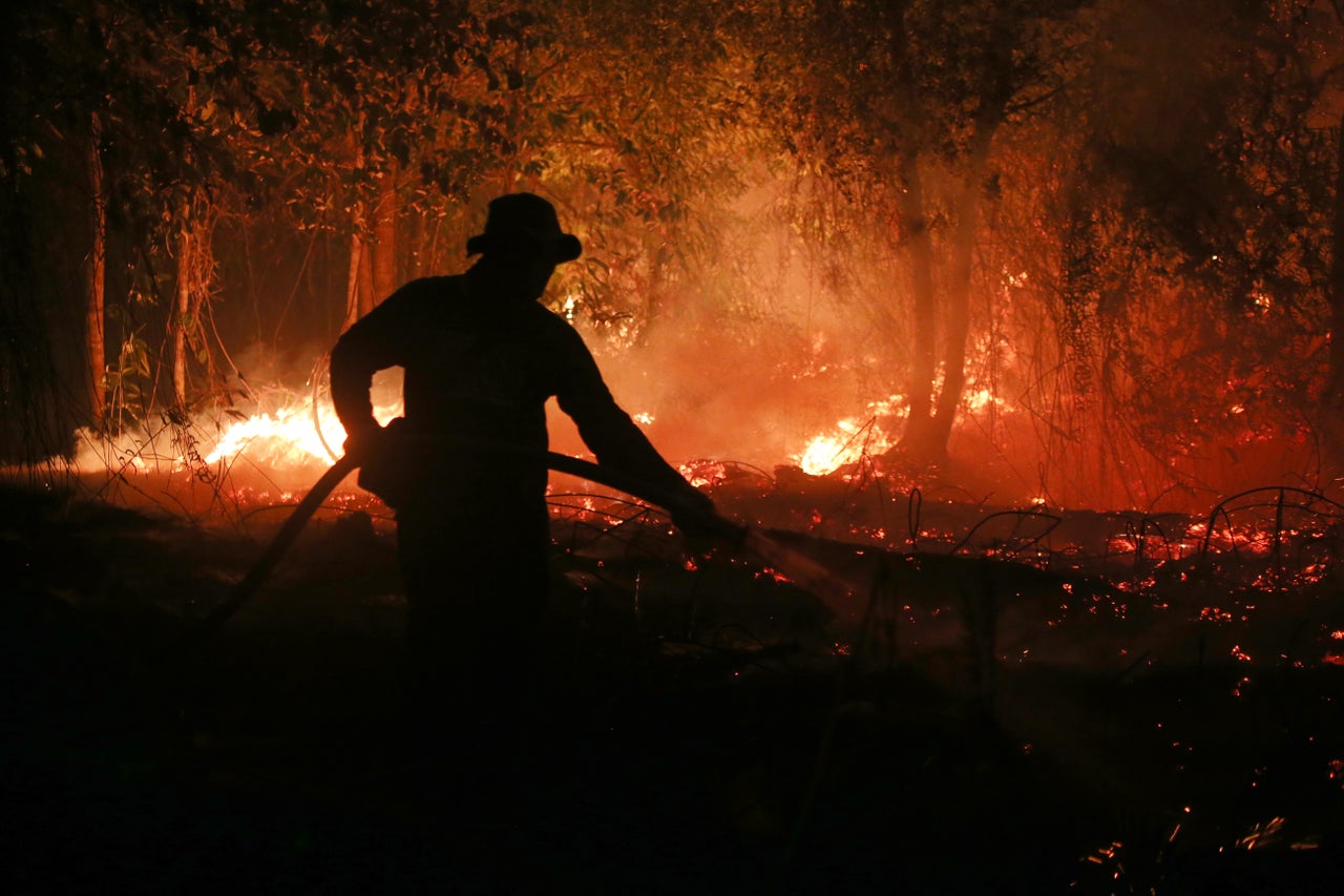 El Nino study warns of nearly half a million heat deaths worldwide
