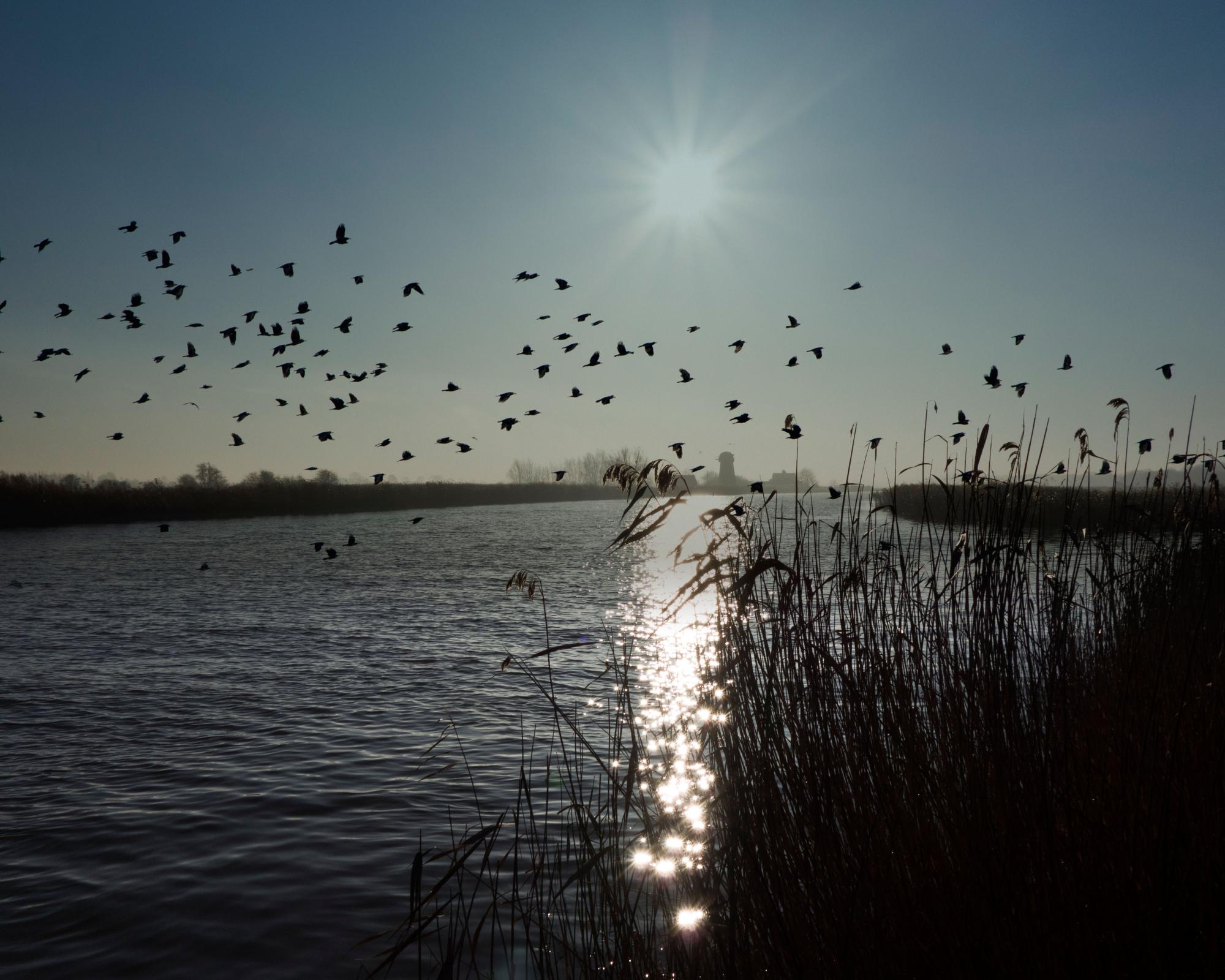 ‘Cash to trash' levy on house developers too low to offset damage to Norfolk Broads, say critics
