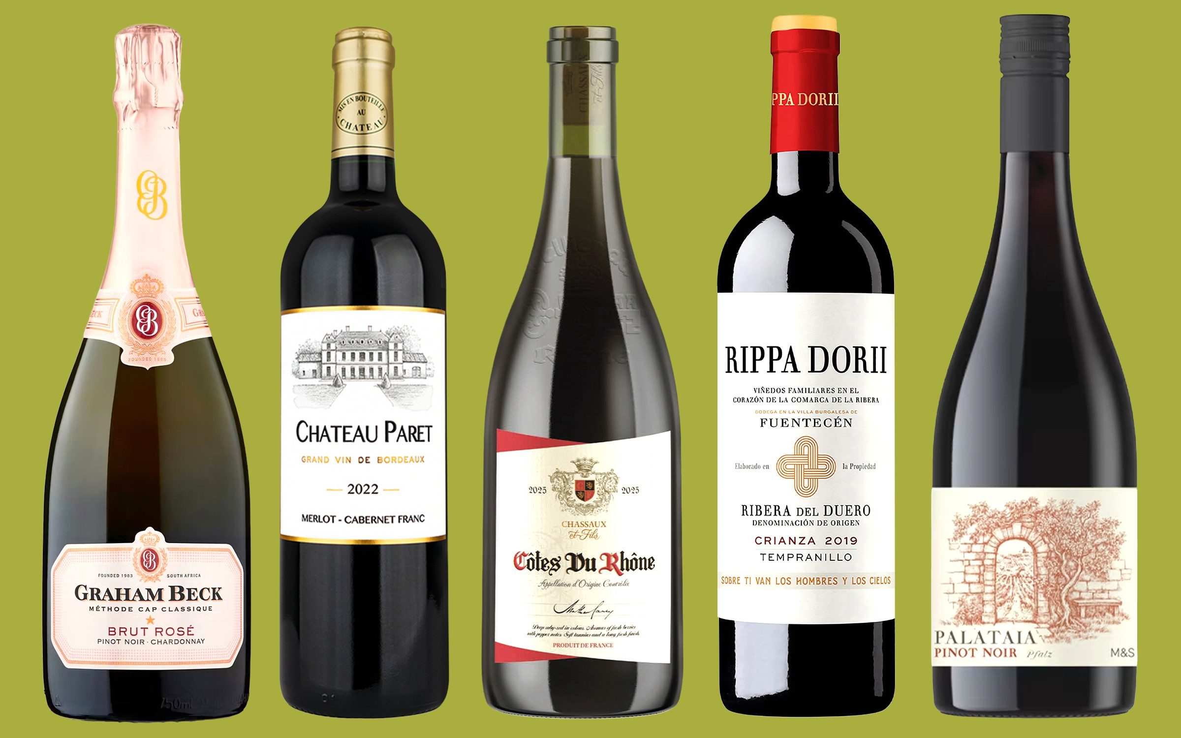 Seven wines for autumn feasts – including Aldi's £5.49 ‘unreasonably good' red