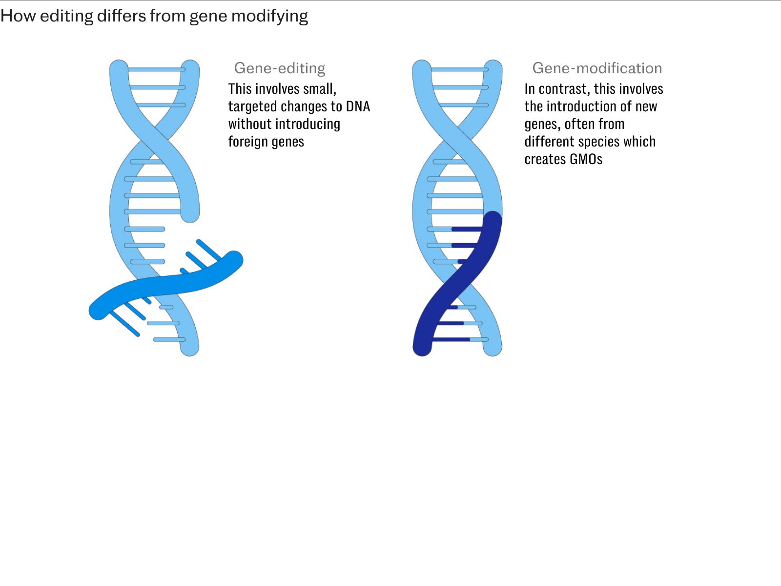 2908 Genetic modification