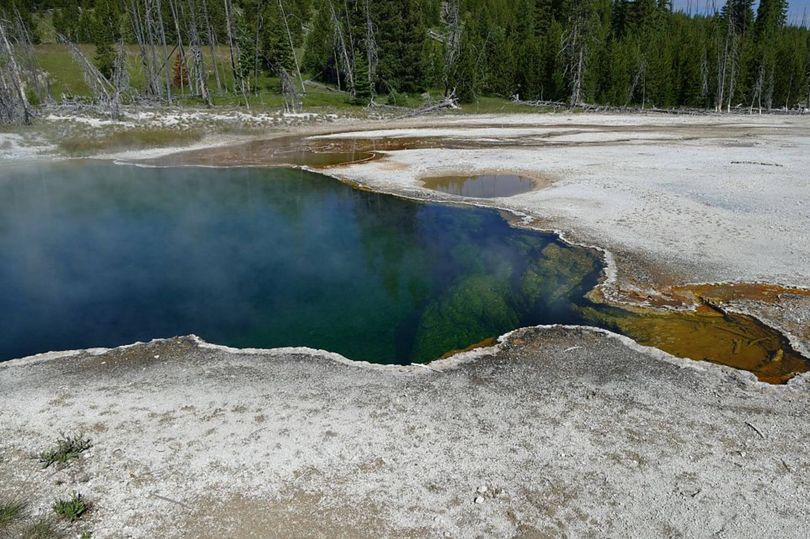Man's death uncovered after partially dissolved foot seen floating in ...
