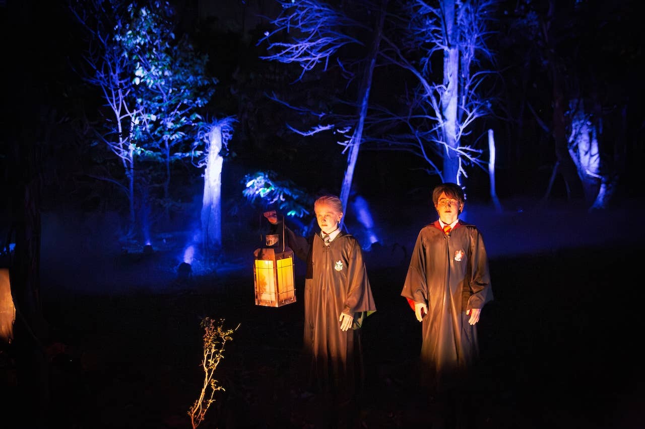 Triwizard Scene A Beloved ‘Harry Potter’ Nighttime Experience Returns This Fall - AOL