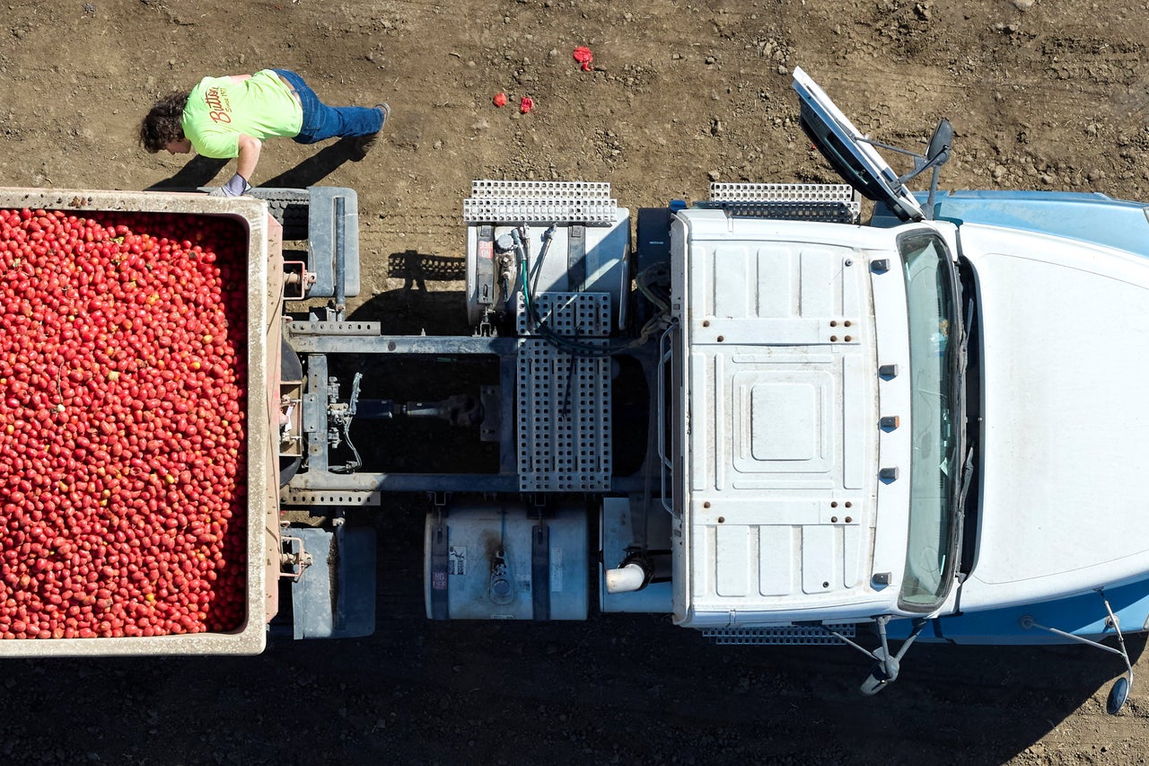 New Photo - 16 American trucking companies file for bankruptcy as diesel costs soar