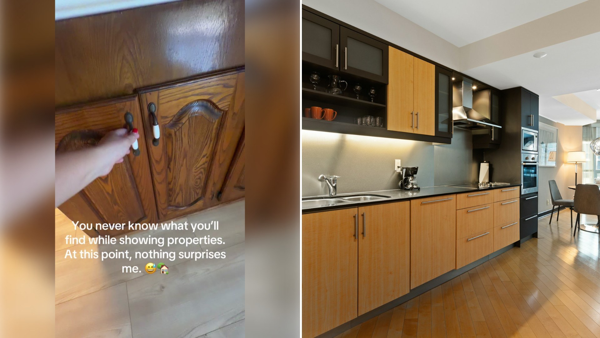 Realtor Opens a Set of Kitchen Cabinets During a Showing Expecting Normal Storage as the Purely Decorative Doors Opening Onto Empty Wall Prove Nothing in Real Estate Can Shock Her Anymore