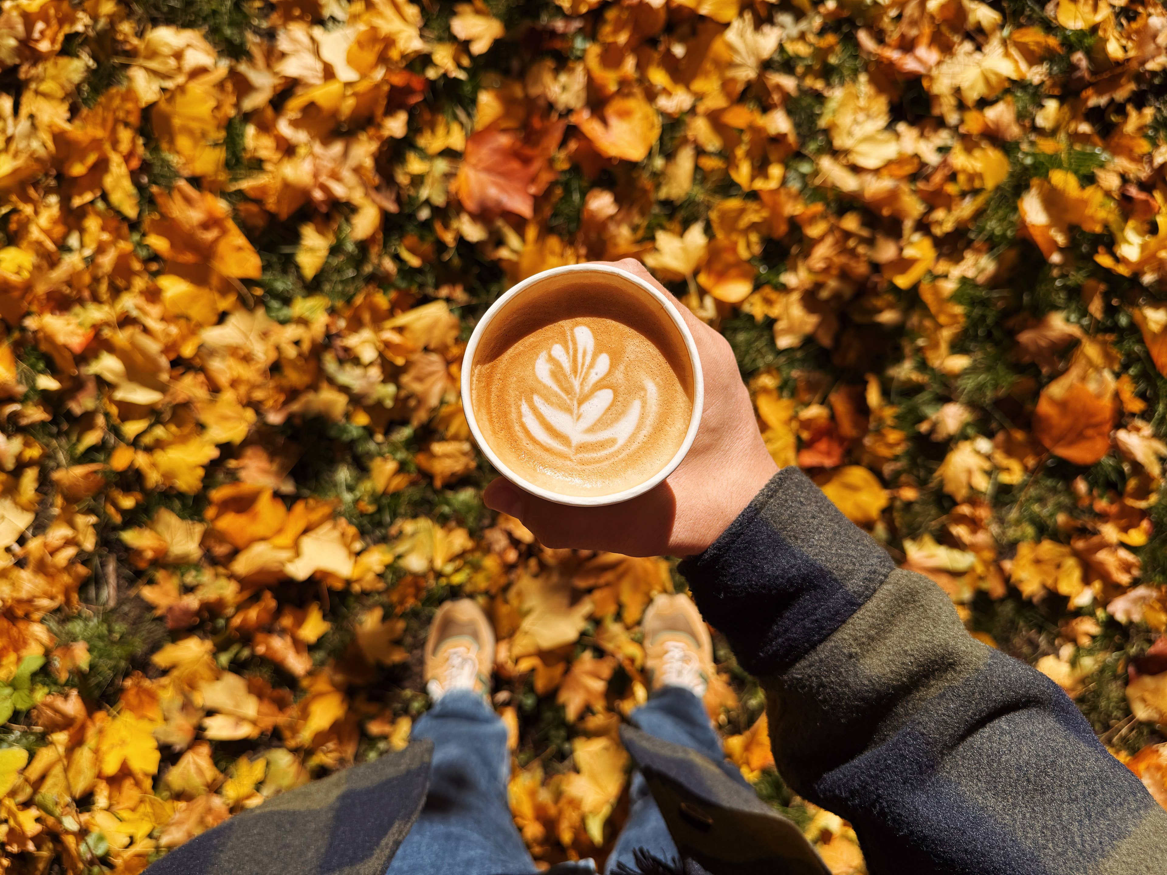 75 Fun Fall Trivia Questions for Kids and Adults
