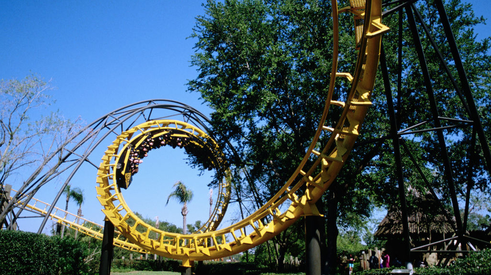 10 Common Customer Complaints About Busch Gardens