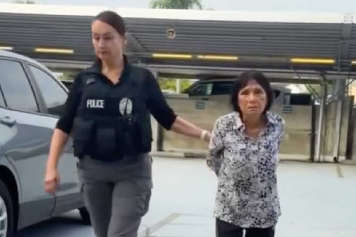 Puppy Was Lured with Food, Then Allegedly Intentionally Run Over. His Owner Was Just Arrested — and Video Captured Horror