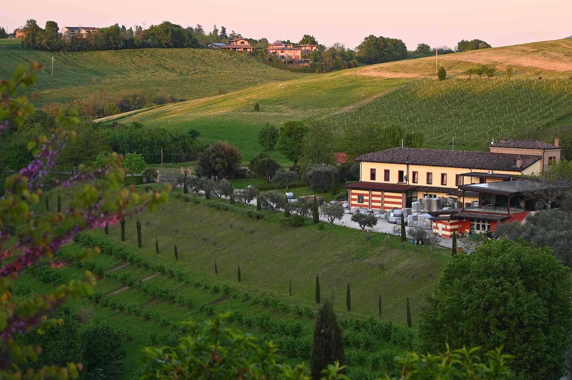 This Family-run Farm Stay in Italy Makes the Best Balsamic Vinegar I’ve Ever Tasted—and They Have Nonnas Cooking Fresh Pasta Every Week