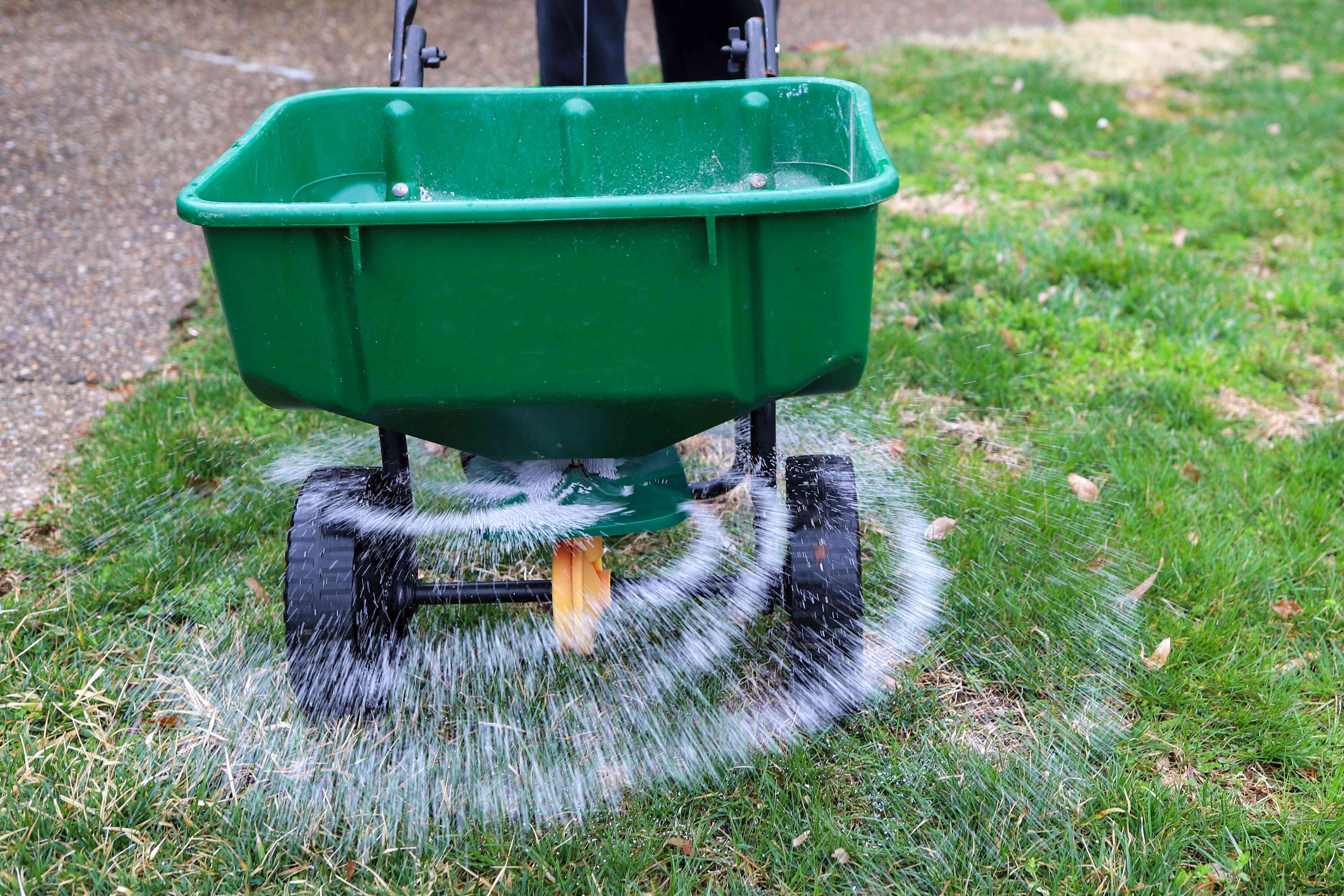 How Often To Reseed Your Lawn For Thicker, Healthier Grass