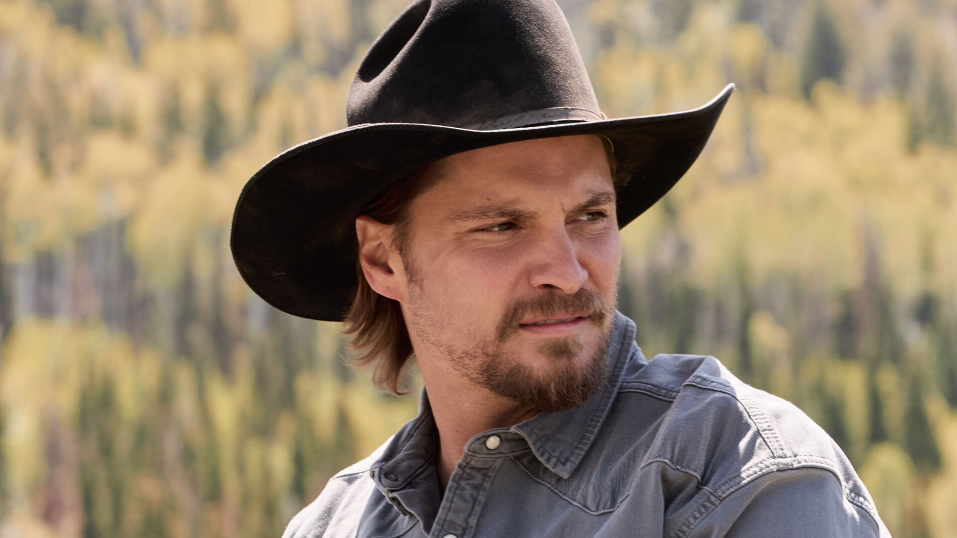 Yellowstone Is Officially Changing Genres With Spinoff's Season 2 Return -  AOL