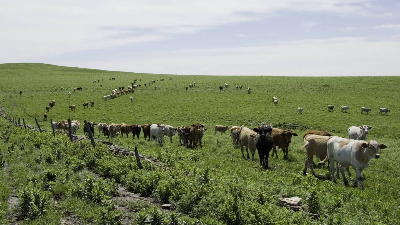 They’re Planning to Sell the Development Rights on the Ranch for $600,000 and Still Run Cattle on Every Acre. The Only Thing That Changes Is That Nobody Can Ever Pave It - AOL