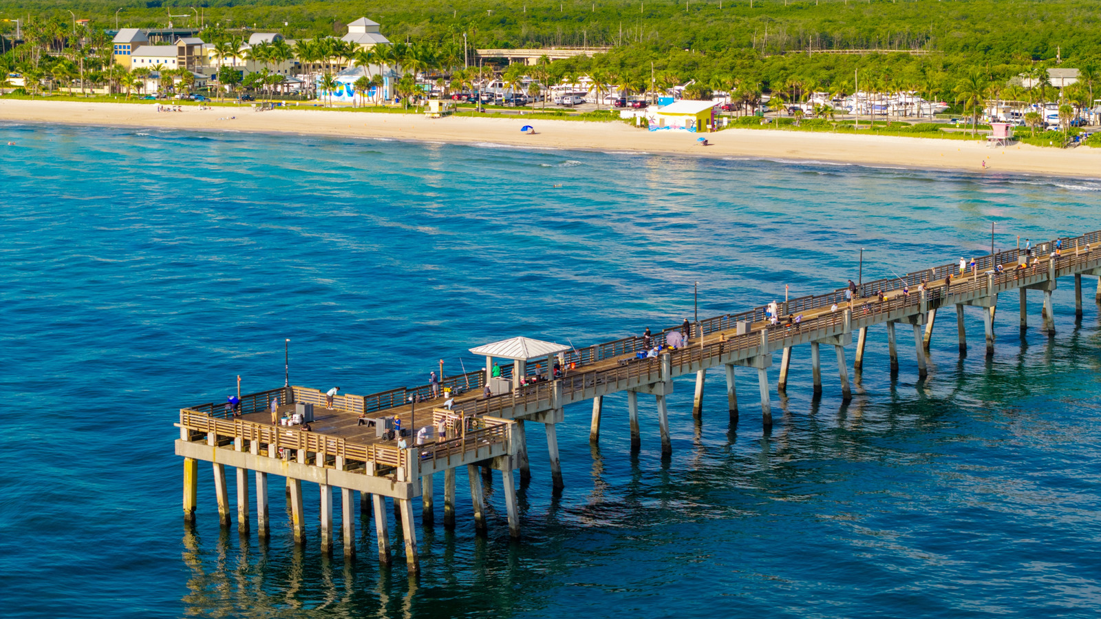 Fishing Ruler Back 5 Pier Fishing Rules Tourists Break Within The First 10 Minutes - AOL