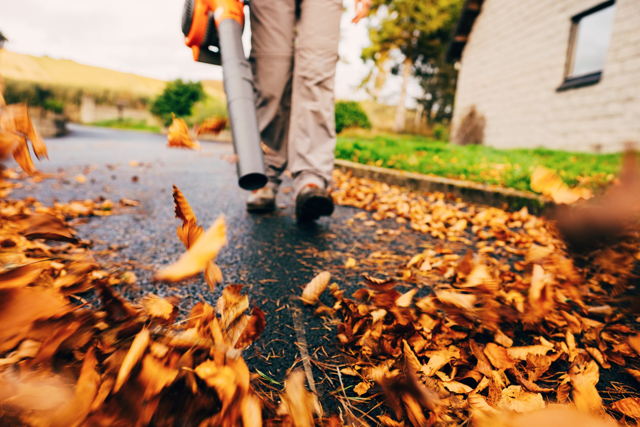 We found the best leaf blower deals: The Home Depot vs Amazon