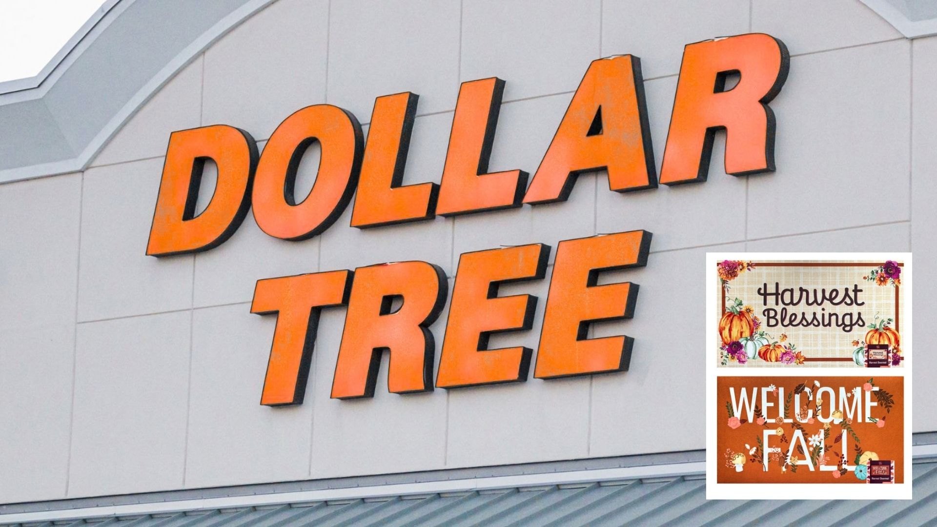 Dollar Tree’s $5 Welcome Mats Are Fall’s Cutest Front-Door Find