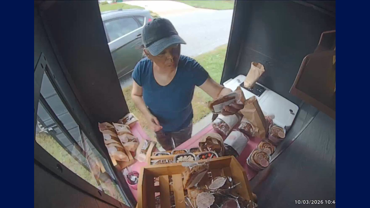 Woman arrested after baked goods theft in Brevard County, officials say ...