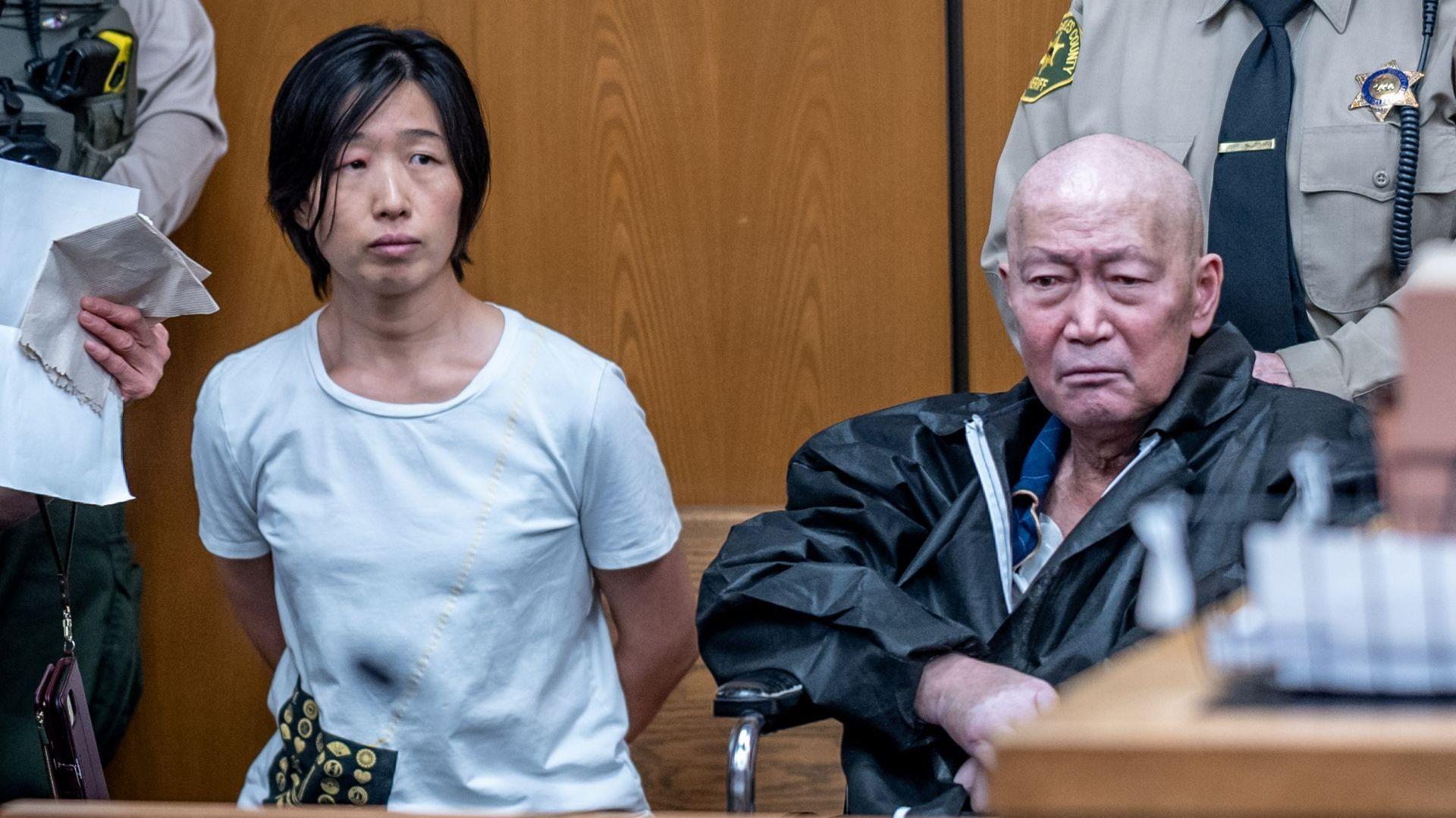 California pair charged with abusing at least 14 surrogate-born children