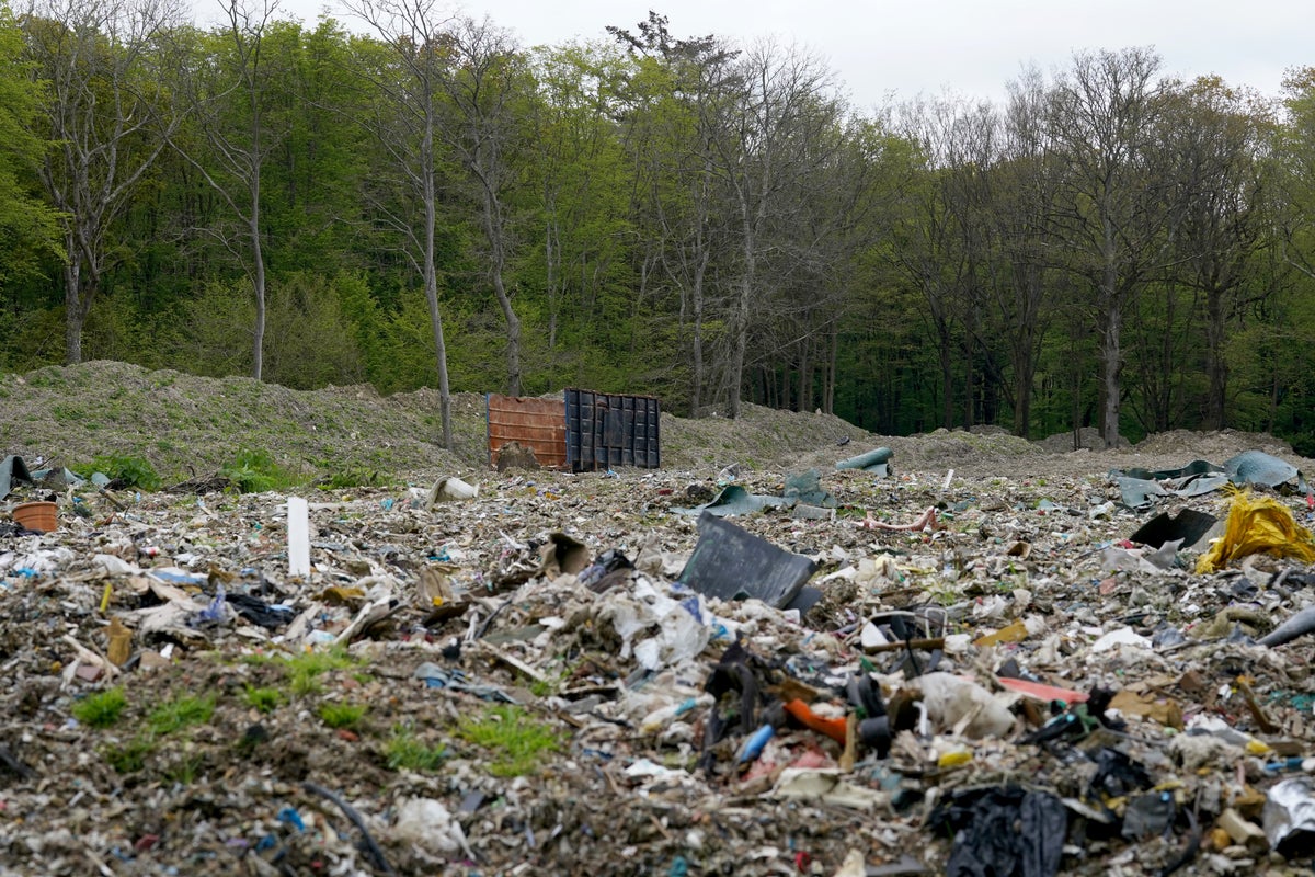Kent ancient woodland cleared from ‘worst waste dump' ever seen in £15 million operation