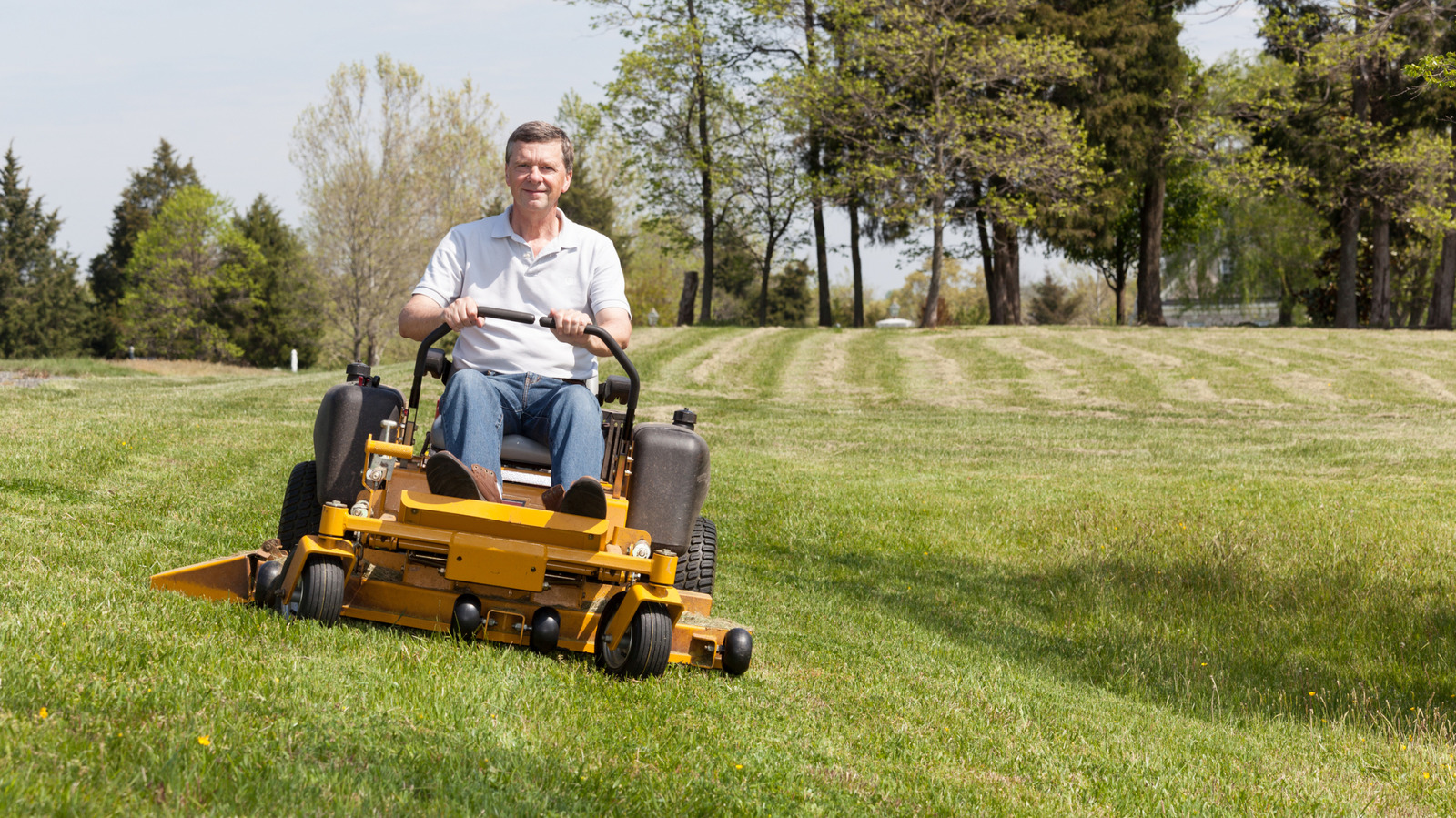 The Most Affordable Zero-Turn Lawn Mowers You Can Find While Shopping ...