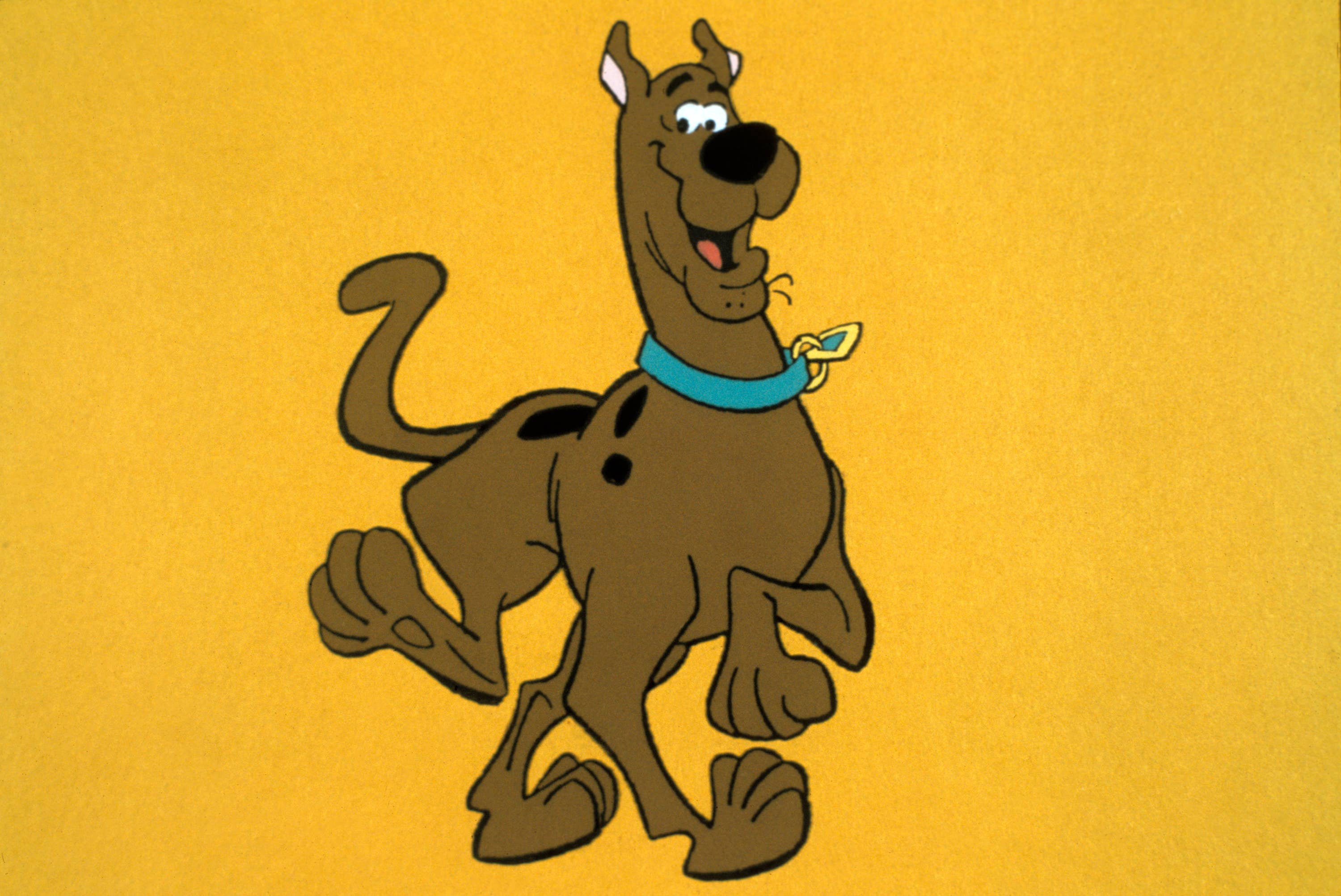 A Massive Cartoon Network Leak Reveals How Your Favorite Childhood ...