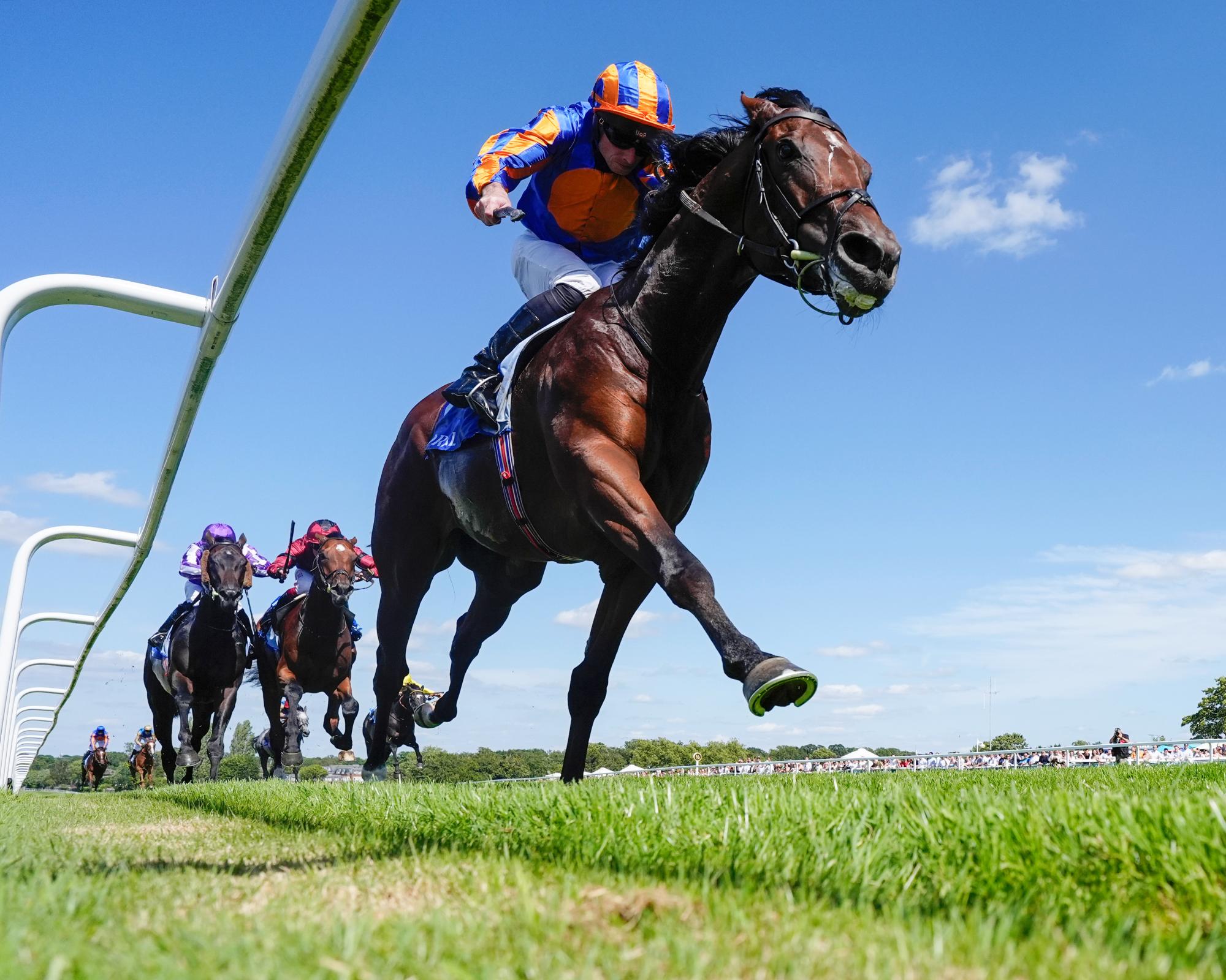 Champions Day – and Balding v O'Brien – can give Flat season a fitting finale