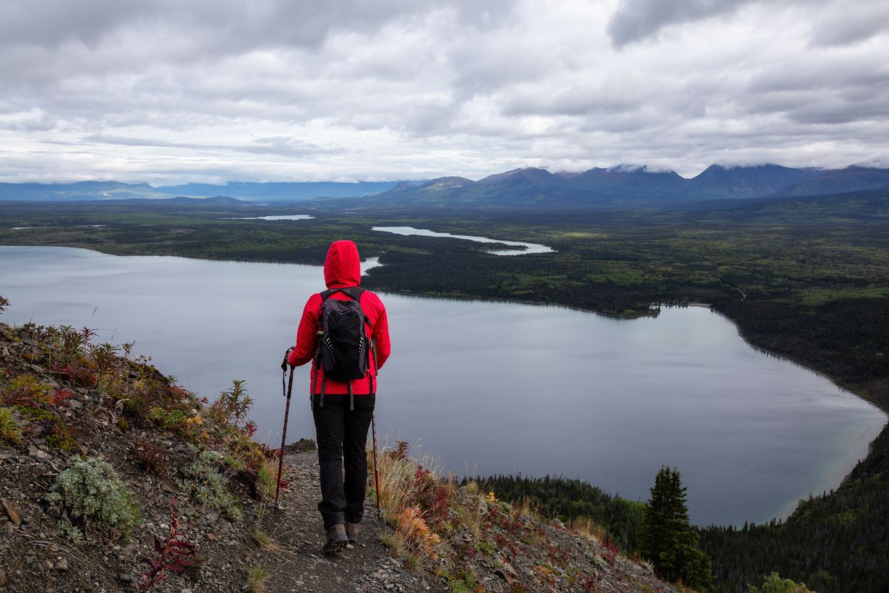 Wolves Eating Alaska This 360-mile Drive Is One of North America’s Most Beautiful—With Small ...