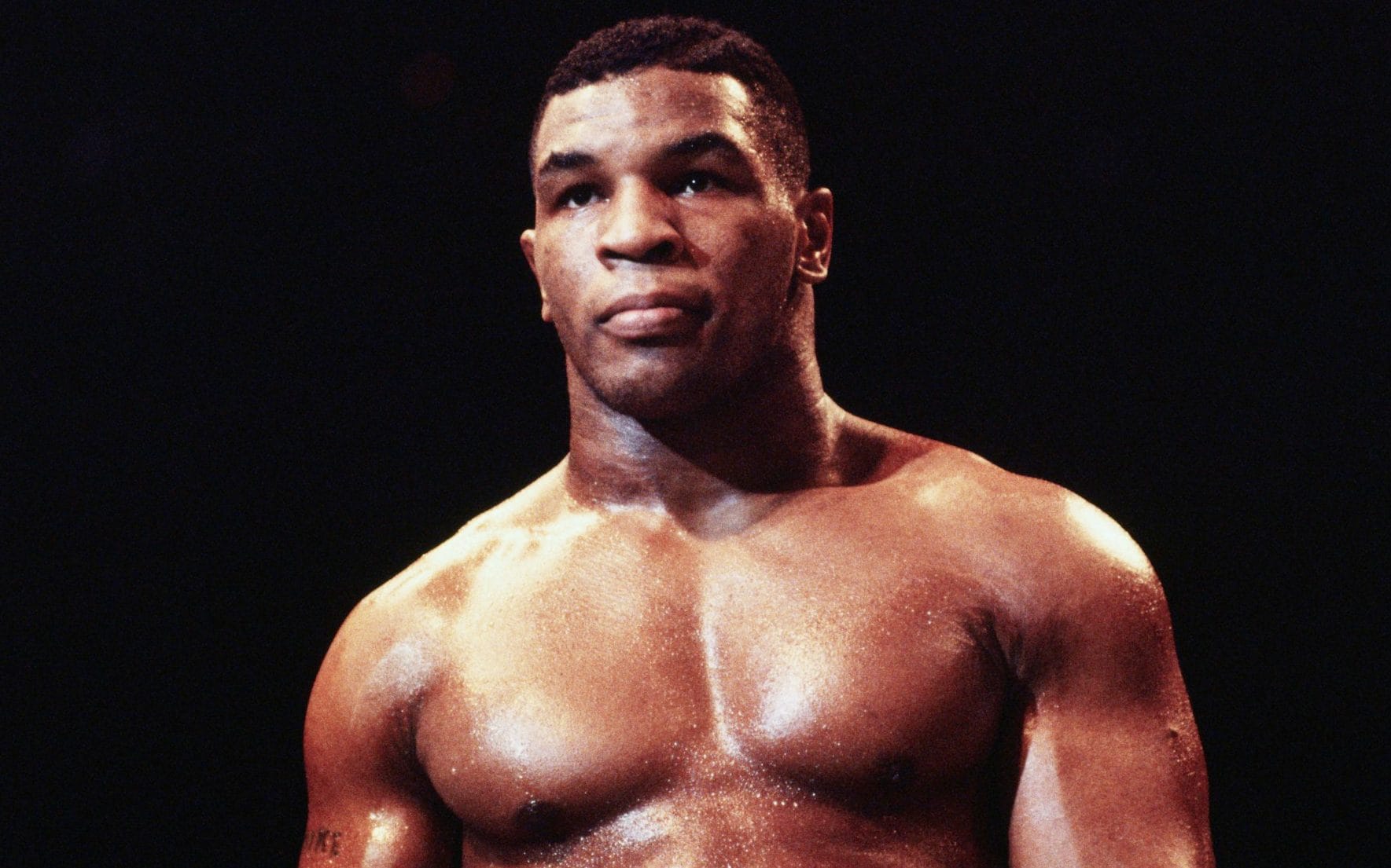 Netflix's grimly compelling Tyson offers an anatomy of a profoundly damaged man