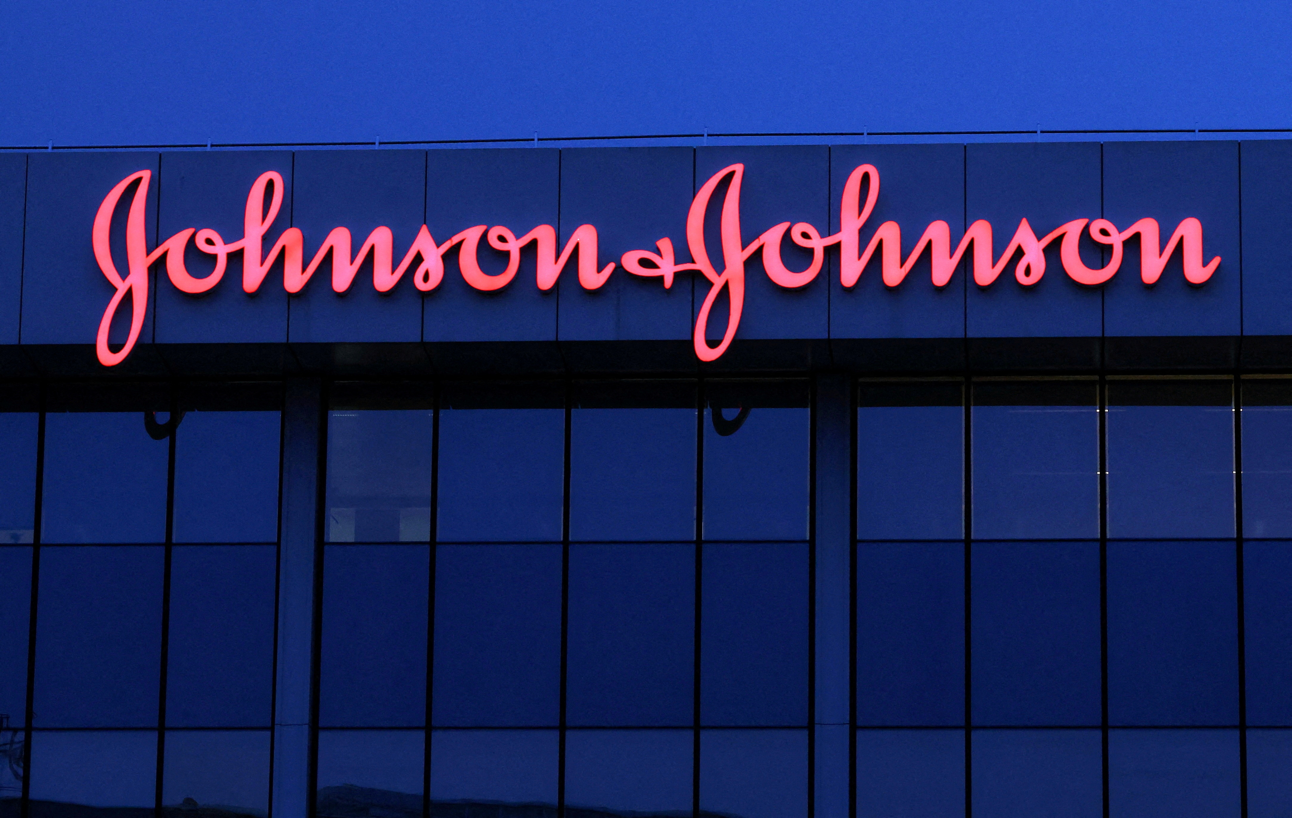 FILE PHOTO: The logo of Johnson 