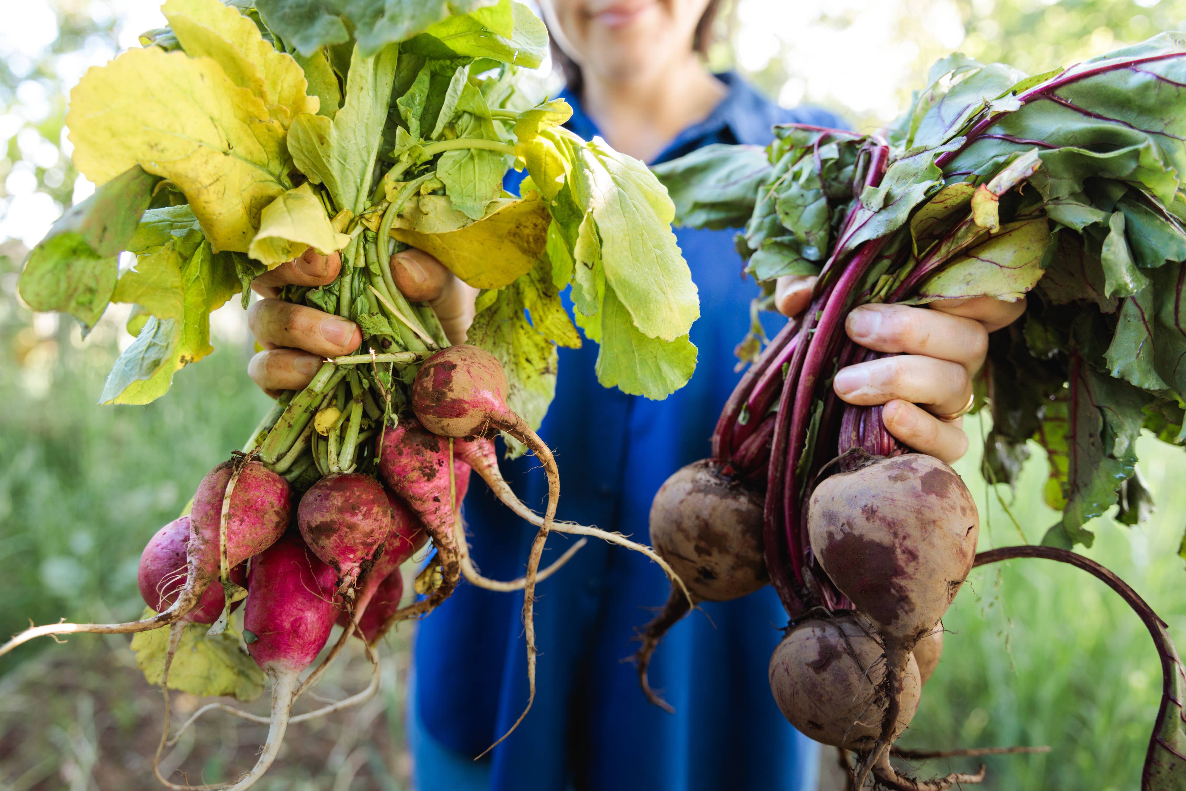 Nitriaes Why Nitrates in Beets Can Actually Affect Performance - AOL