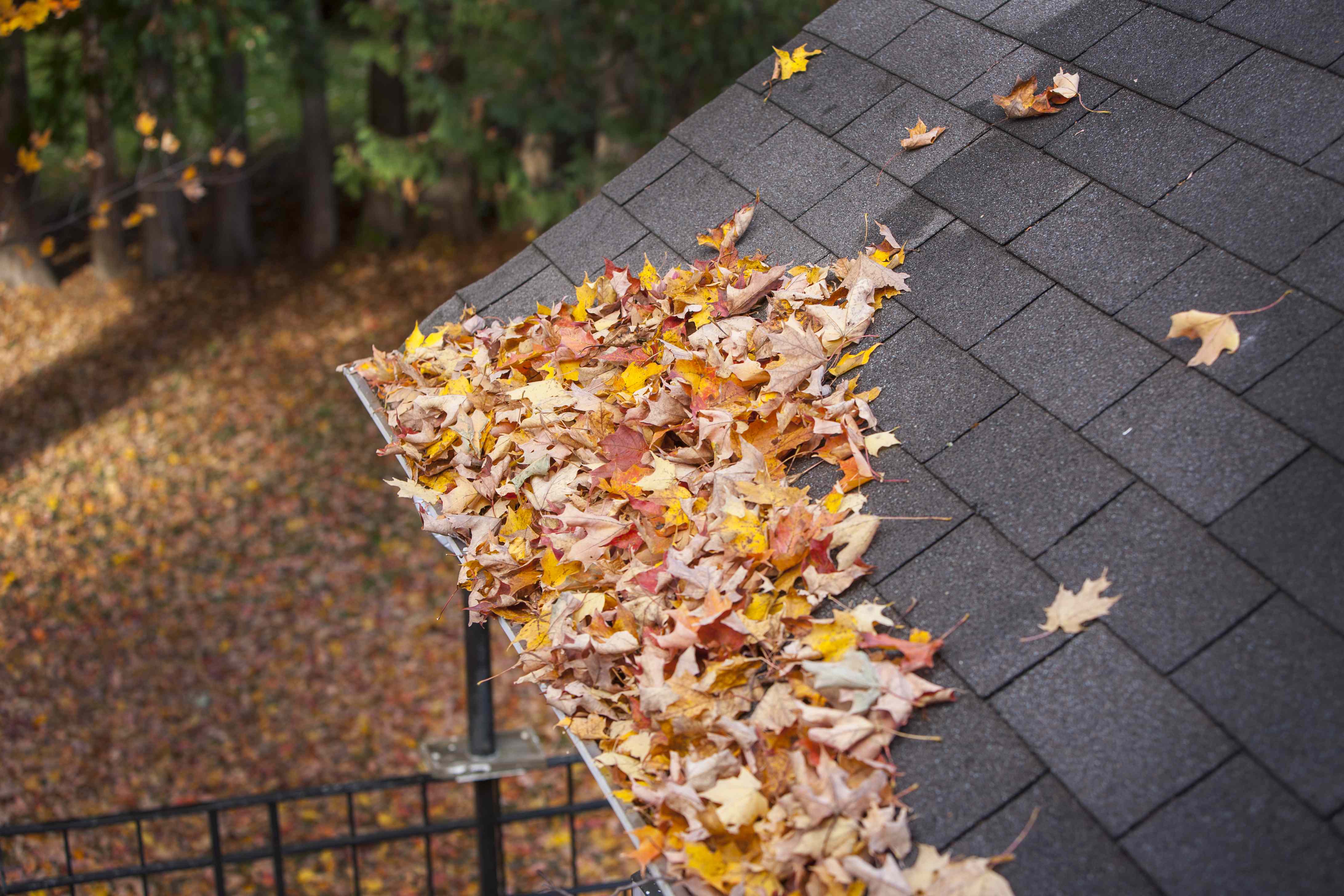 How To Prevent Leaves From Clogging Your Gutters - AOL