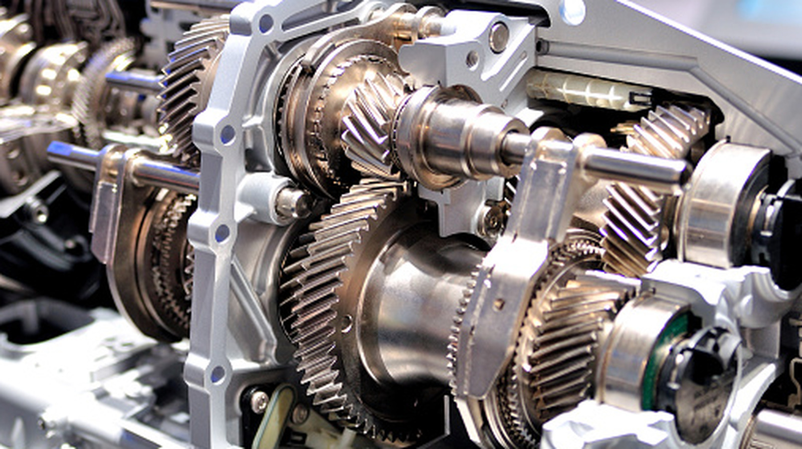Variation Between Animals Dexron Vs. Mercon: What's The Difference Between These Transmission ...