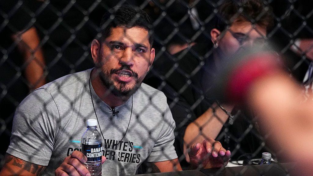 Ufc Plot Pereira's sister, Aline, misses out of UFC contract - AOL