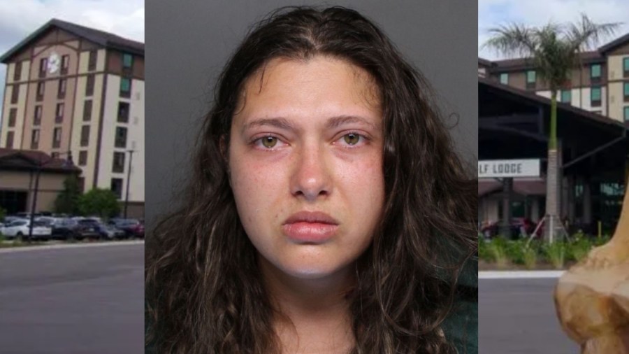 New details in court documents dig deeper into double homicide - AOL