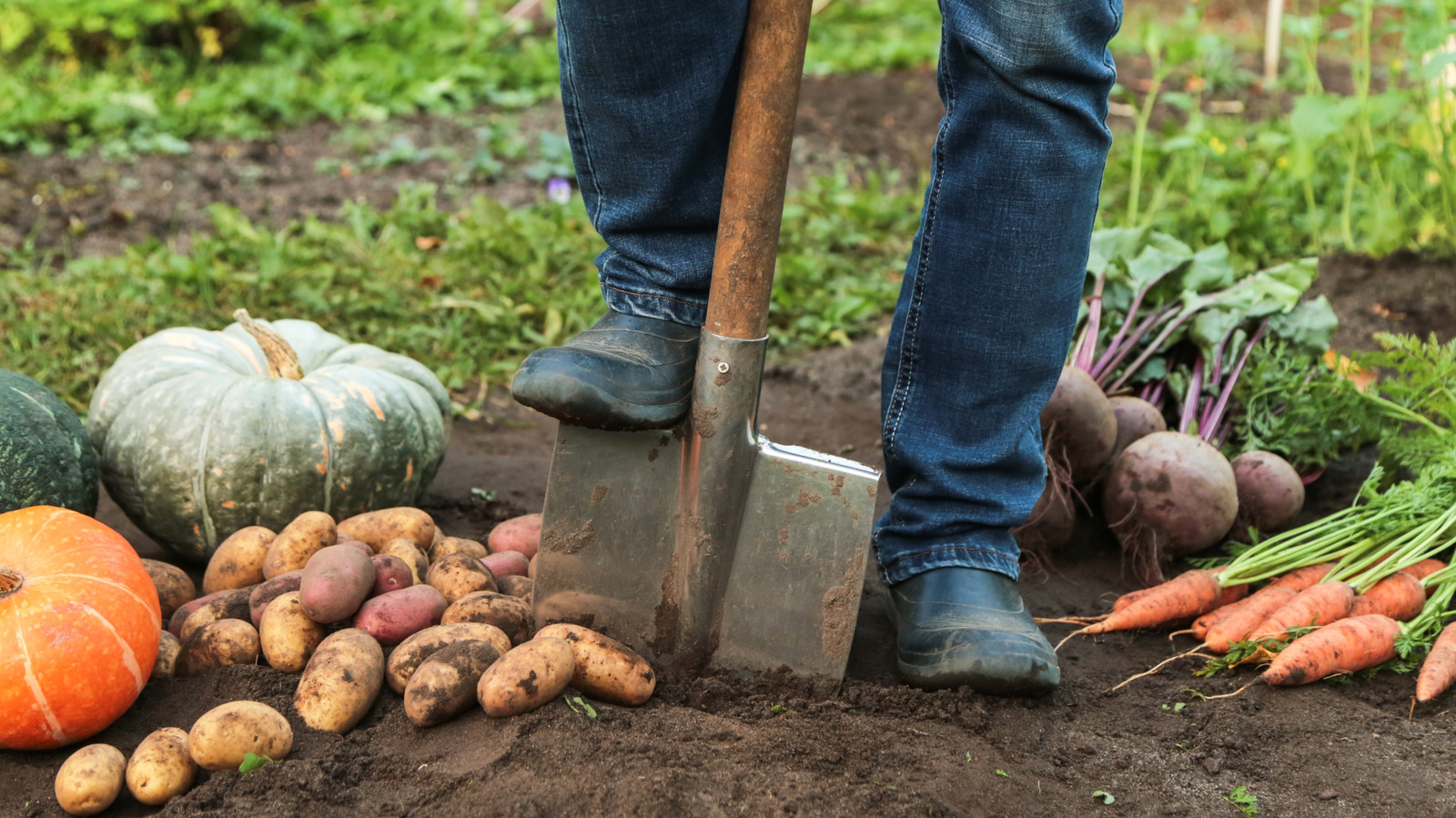 Do This To Your Garden Bed In October And Thank Yourself Later