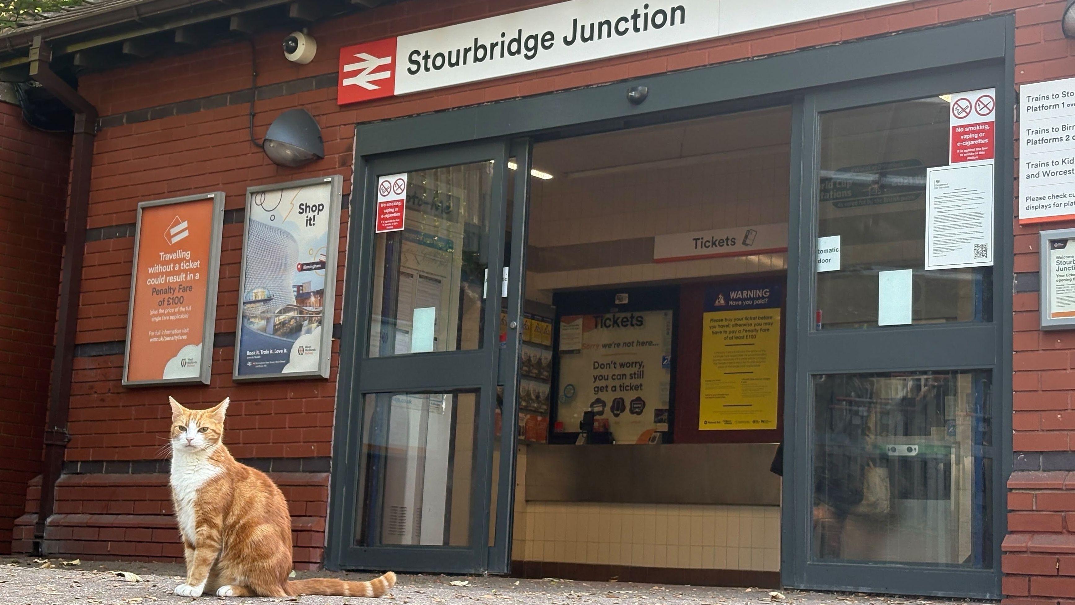 Meet the station cat whose book won hearts globally
